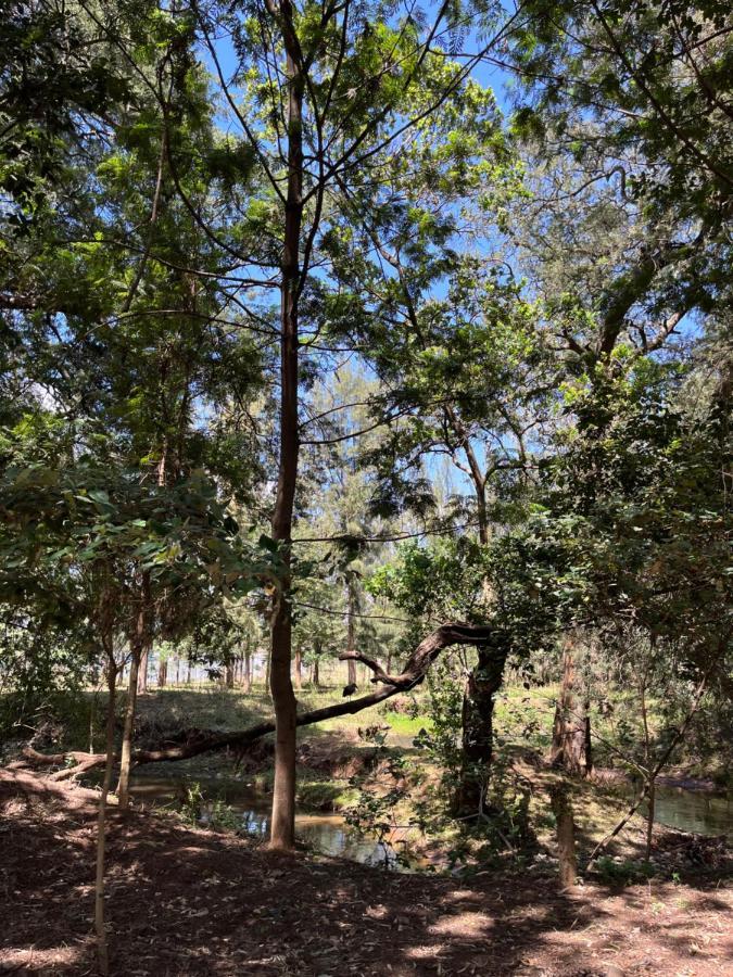 Koselig Homes Nanyuki Luaran gambar